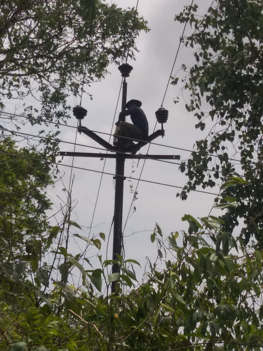 Power restoration work after Tautkae cyclone.