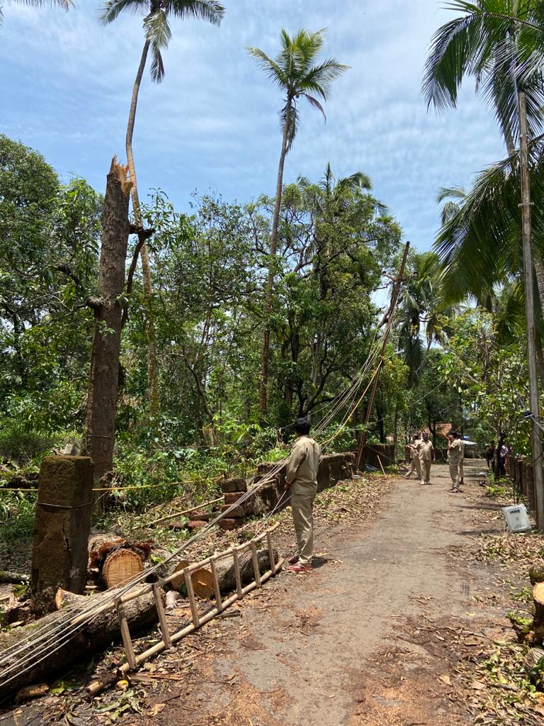 Power restoration work after Tautkae cyclone.