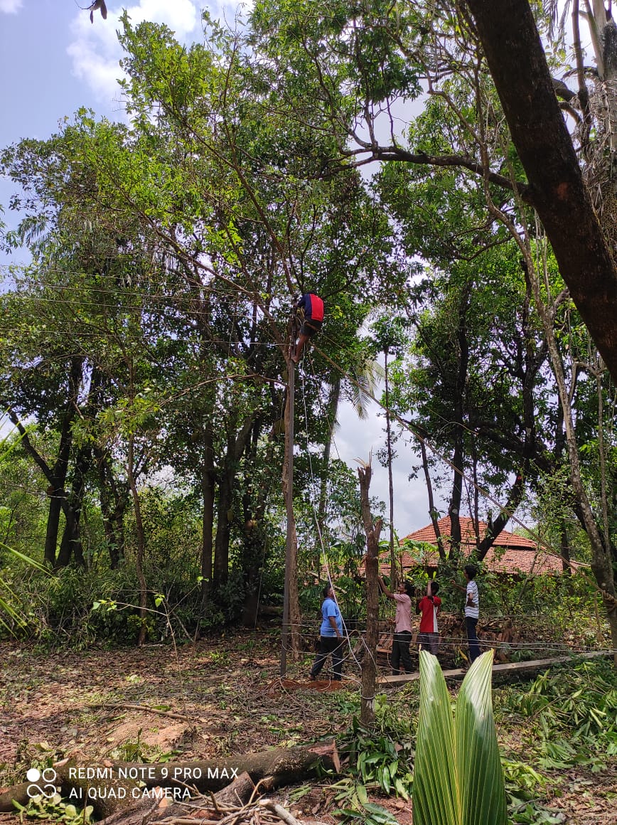 Power restoration work after Tautkae cyclone.