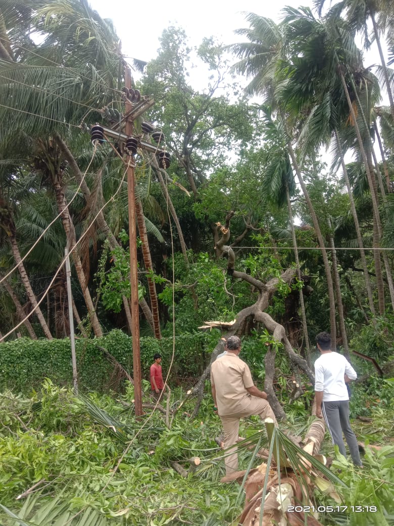 Power restoration work after Tautkae cyclone.