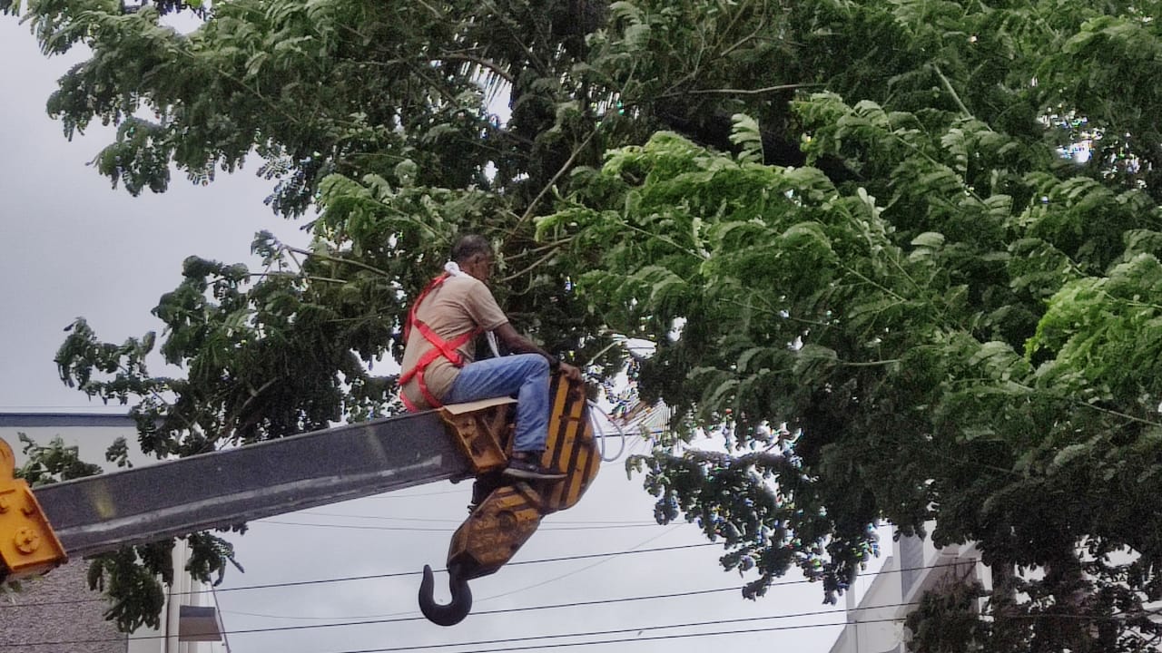 Power restoration work after Tautkae cyclone.