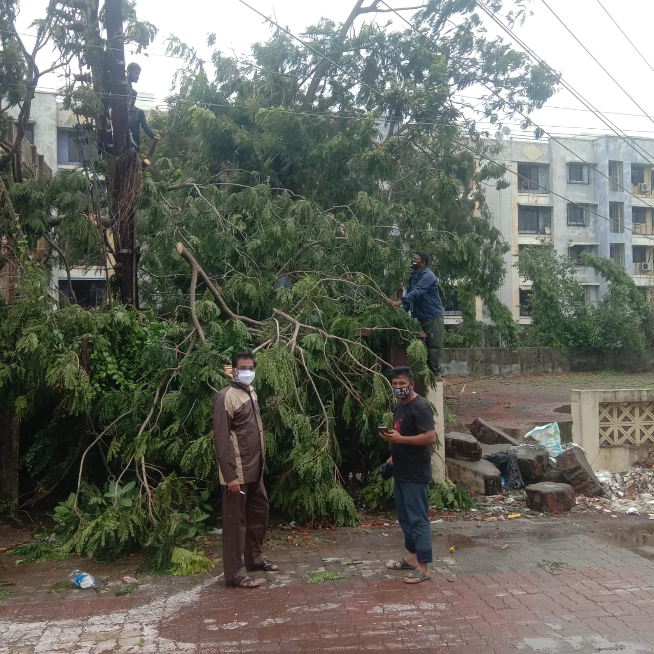 Power restoration work after Tautkae cyclone.