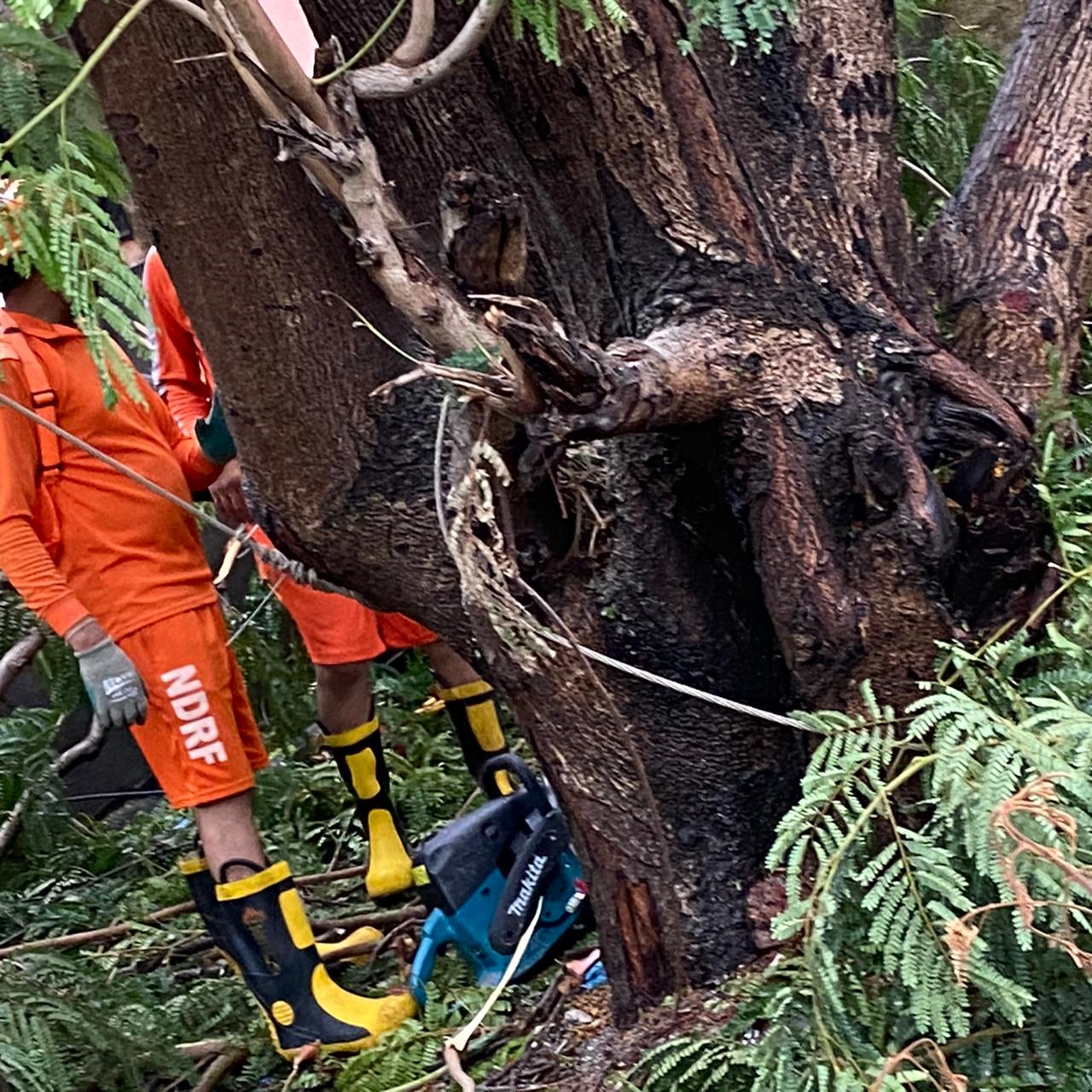 Power restoration work after Tautkae cyclone.