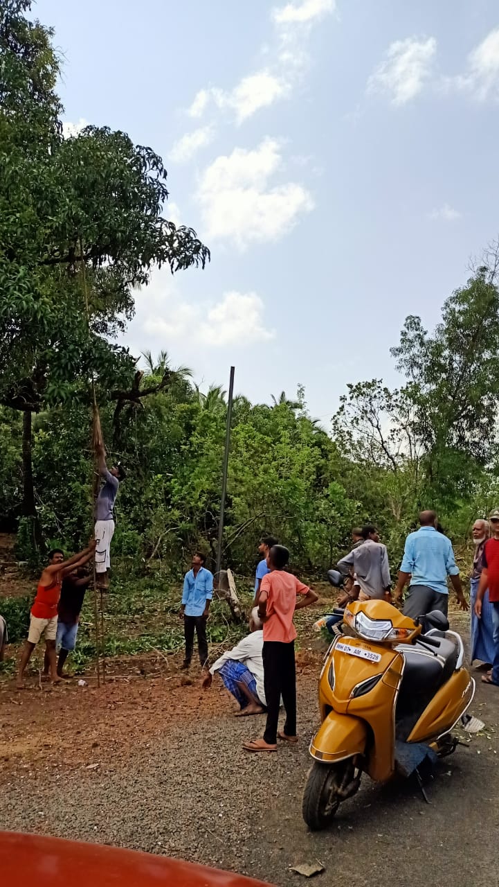 Power restoration work after Tautkae cyclone.